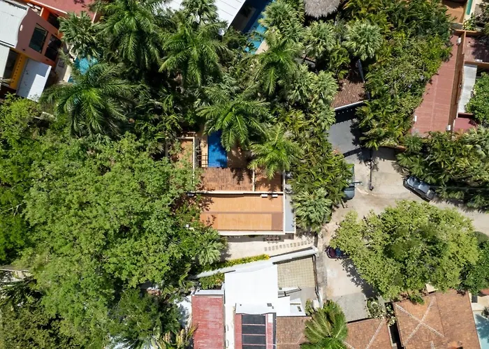 Hébergement de vacances Ods25 - Colorful Tropical Escape, Private Pool And Walk To *